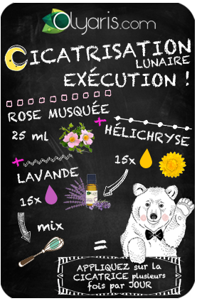 Olyaris - L'huile de rose musquée : Tout savoir